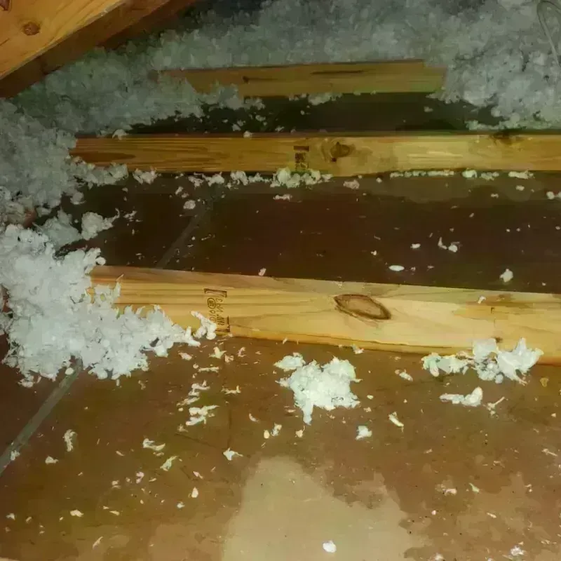 Attic Water Damage in Timber Pines, FL