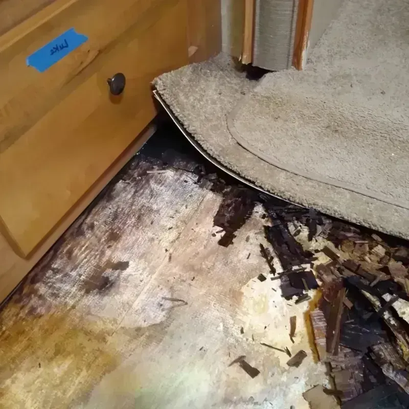 Best Wood Floor Water Damage Service in Timber Pines, FL